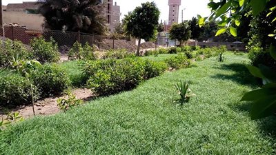 بعد إزالة مقلب القمامة.. حديقة 