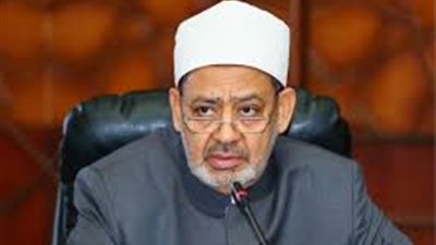 شيخ الأزهر: علماء المسلمين سيُسألوا أمام الله عن الأمة العربية الجريحة