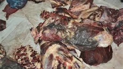 ضبط 40 كيلو لحوم 