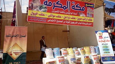بدء تجهيز معرض منتجات الخريجين على أرض مهرجان الخيول بالشرقية (صور)
