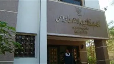 المشدد 15 عامًا لموظفة اختلست 4 مليون جنيه من بنك التنمية الزراعي