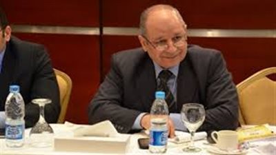 نائب رئيس مجلس الدولة: لا يوجد تشريع لدينا يتعرض لولادة متعثرة