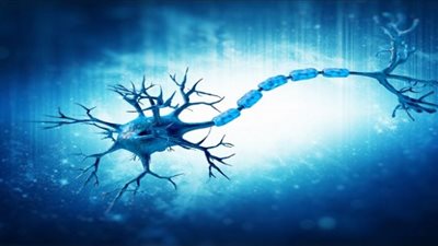 دراسة: ممارسة الرياضة لا تقلل خطر الإصابة بمرض التصلب المتعدد