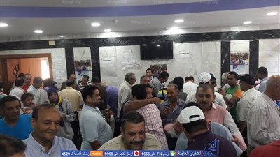 أعضاء الجمعية العمومية: تنظيم انتخابات 