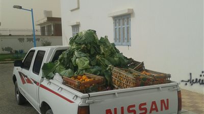 تحرير 21 مخالفة تعدي على الطريق فى مطروح