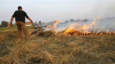 زراعة الشرقية: تحرير 810 محضر حرائق القش  وحصاد 128920‏ فدان أرز