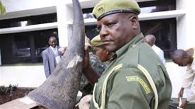 ارتفاع  سعر 