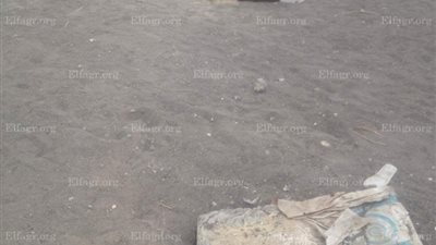 الأهالي يناشدون وزير الشباب بالاهتمام بمركز شباب غزالة بالشرقية (صور)