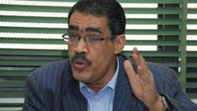 ضياء رشوان: مقال أحمد عز وسيلة لعودته من الأبواب الخلفية