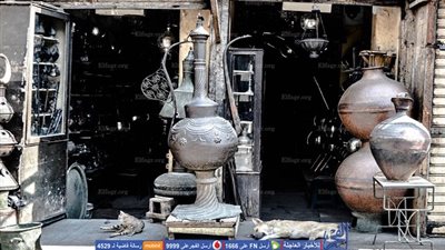 غاب السائحون عن المعز.. فنام «الكلب» وتمطعت «القطة».. (صورة)