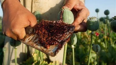 ضبط ٦٠٠ جرام افيون جنوب محافظة الأقصر