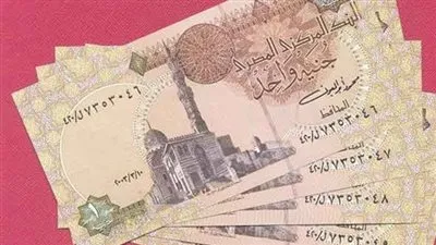 أستاذ اقتصاد: تعويم الجنيه سيؤدي إلى زيادة التضخم (فيديو)