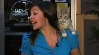 رد فعل مراسلة على الهواء مباشرةً لحظة قفز قطّة على كتفها (فيديو)