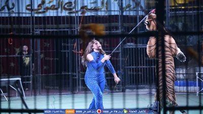 بالفيديو.. أنوسة كوتة: لن أترك بلدي من أجل عروض عالمية