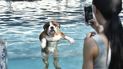 الكلاب الكبيرة مفيدة للصحة