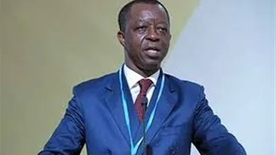 رئيس البرلمان الأفريقي: احتفالية البرلمان المصري عيد لنا جميعًا