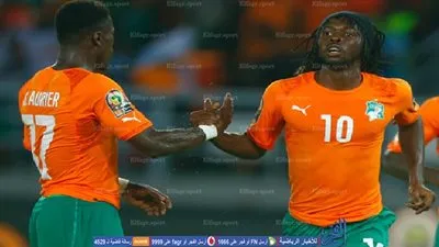 بالفيديو.. أفيال كوت ديفوار 