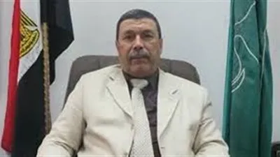 تعليم الإسكندرية: إعادة تدوير الرواكد الخشبية بجميع الإدارات التعليمية