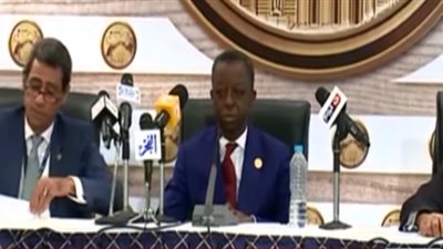 رئيس البرلمان الأفريقي: حافظوا على رئيس مصر وجيشها من أجل القارة 