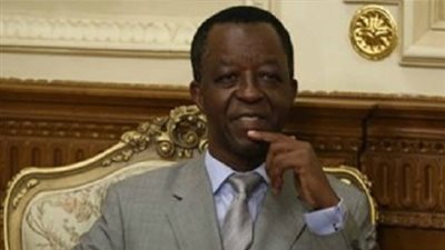 رئيس البرلمان الأفريقي: حافظوا على 