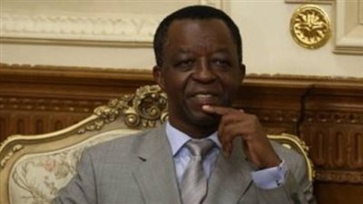 رسالة من البرلمان الإفريقي للمصريين عن السيسي والجيش