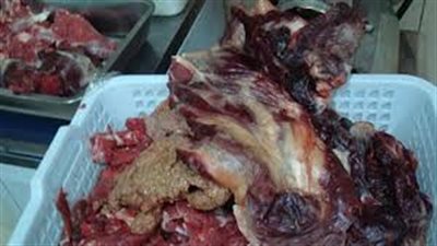 ضبط صاحب مجزر لتجميعه هياكل الدواجن والمخلفات وإعادة فرمها بالخانكة 