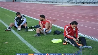 بالفيديو.. تحليل 