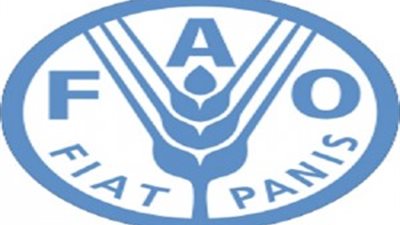 انتخاب مصر لرئاسة لجنة مشكلات السلع بالفاو     