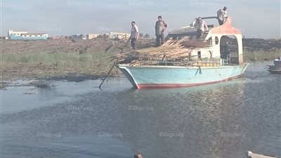  ضبط 240 قضية صيد مخالف  فى بحيرة البرلس (صور)