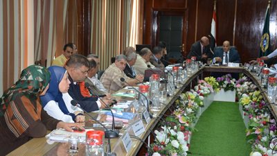 محافظ الدقهلية لـ