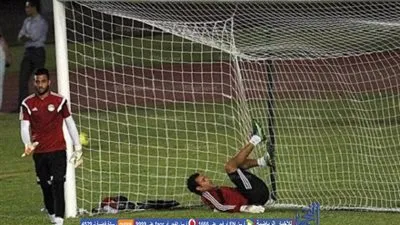 بالفيديو.. جماهير الزمالك تحمل 