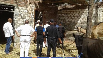 التموين يحرر ٤٣٧ مخالفة تموينية بمحافظة الأقصر خلال سبتمبر الماضي 