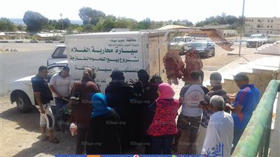 تواصل فعاليات مبادرة 