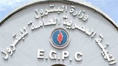 الحكومة: وقف تسليم شحنات 