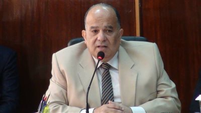محافظ الدقهلية يكشف تفاصيل وجود 
