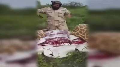 قصة السعودي الذي ذبح لضيوفه زرافة