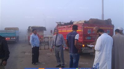 تحصين 257 رأس ماشية بكمين أمني في كفرالشيخ (صور)