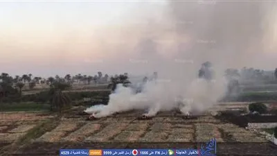 السحابة السوداء تكسو سماء سوهاج بعد تصاعد عمليات حرق البوص (صور) 