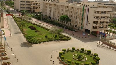 أستاذ بجامعة الزقازيق: 