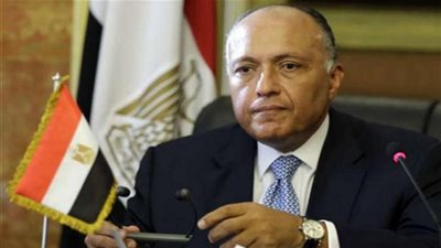 شكري يستقبل وفدًا من الكونجرس الأمريكي