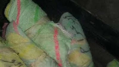 جولة تفتيشية لبلدية بيشة تكشف تهريب قات وشمام متعفن