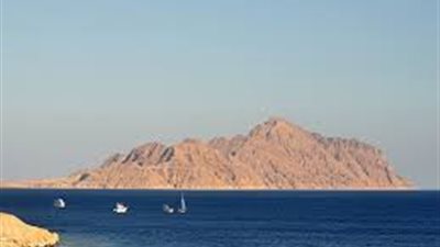 عادل سليمان: محامي الحكومة اعترف بمصرية 