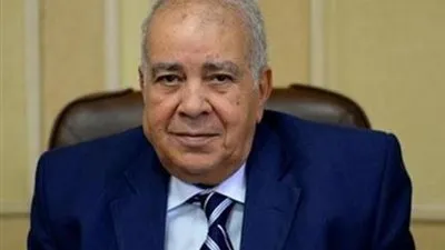 رد غريب لوزيرة الاستثمار على المستشار 