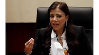 خبير اقتصادي: وزيرة الاستثمار تحاول الحفاظ على 