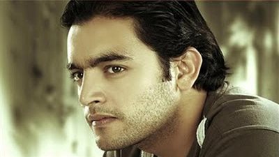 هاني سلامة: أتمنى التعاون مع السقا  