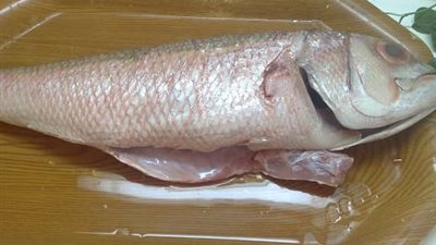   شاهد.. ماذا وجد داخل 