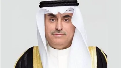 وكيل وزارة لـ