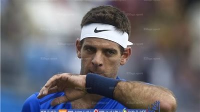 ديل بوترو وديمتروف يتأهلان  لربع نهائي بطولة ستوكهولم