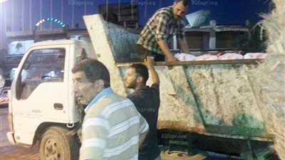 صدق أو لا تصدق.. توزيع 