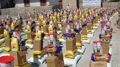 وصول شحنة المساعدات الصربية المخصصة لسكان حلب إلى قاعدة حميميم الجوية